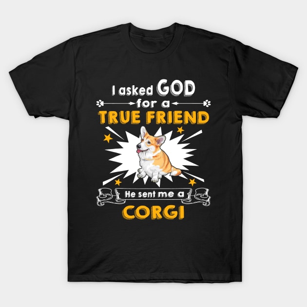 He Sent Me A Corgi (210) T-Shirt by Diamondx